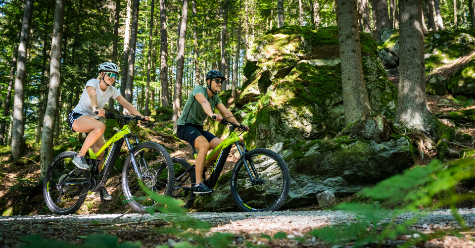 Zwei Fahrradfahrer fahren durch einen Wald, der Wald ist gut durchleuchtet und die Radfahrer tragen einen Helm