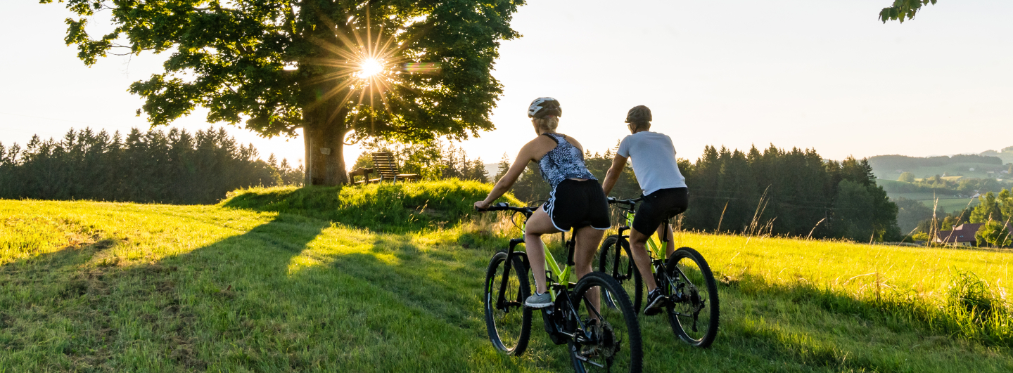 Zwei Skifahrer fahren an einem sonnigen Tag in einem winterlichen Skiresort mit frischem Pulverschnee einen Hang hinunter.