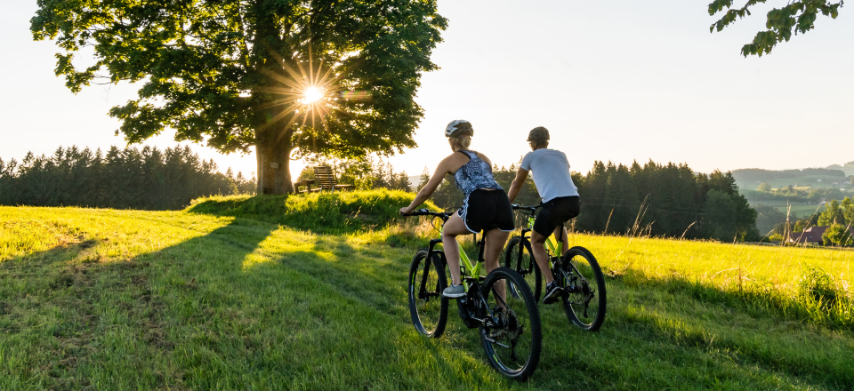 Zwei Fahrradfahrer mit Helm fahren auf einer Wiese zu einem Baum.